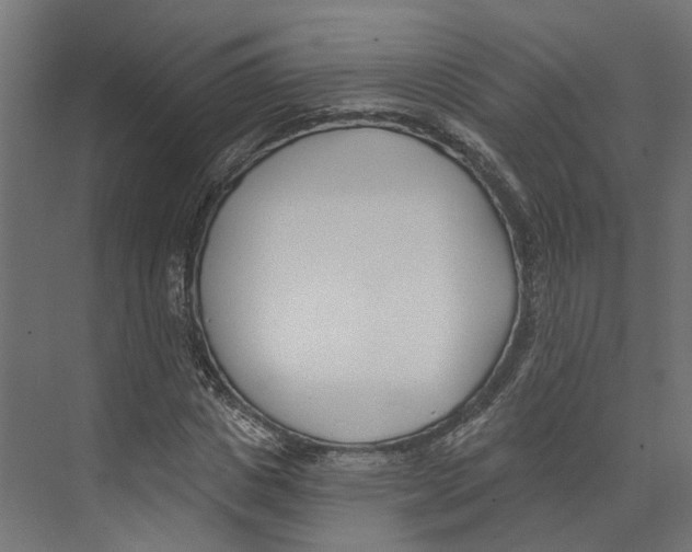 X0000073870825200609071656