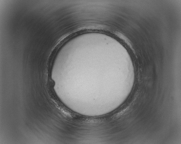 X0000073870829200609071657