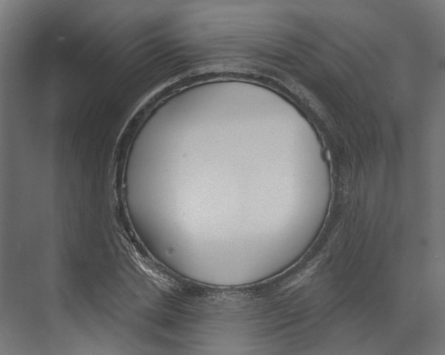 X0000073870830200609071657