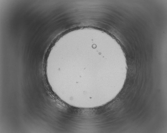 X0000073870832200609071657