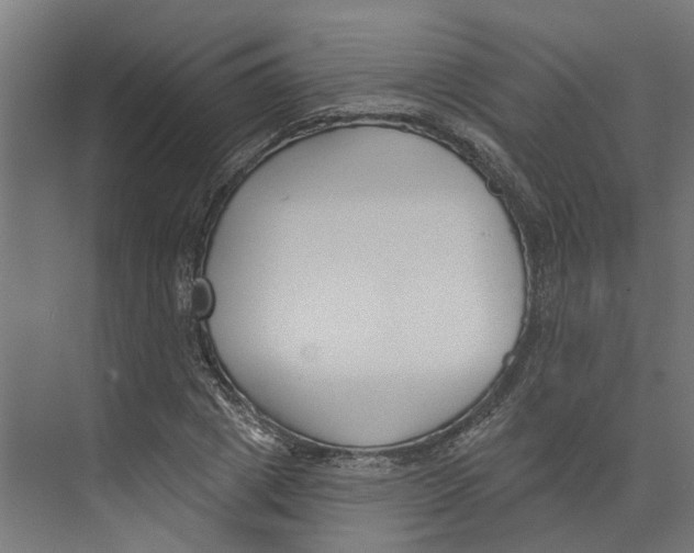 X0000073870833200609071657