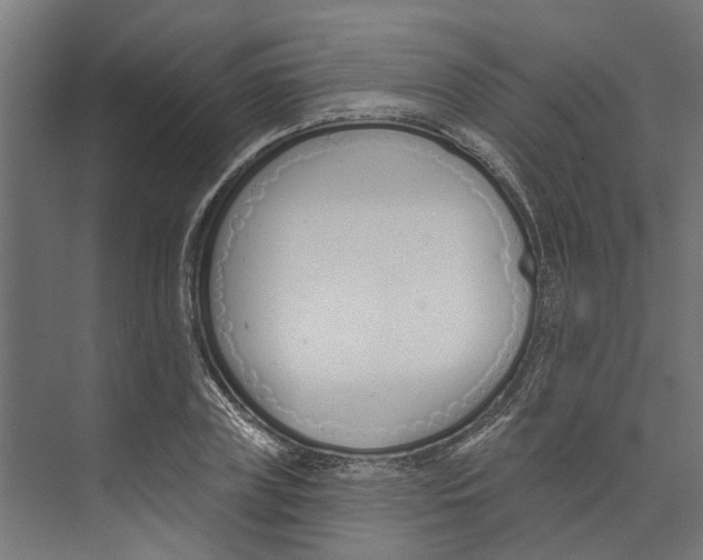 X0000073870835200609071657