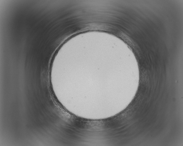 X0000073870836200609071657