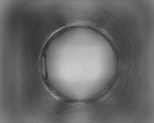 X0000073870838200609071657