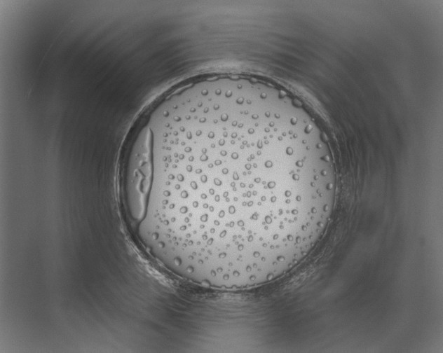 X0000073870839200609071657