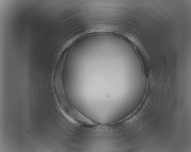 X0000073870842200609071657