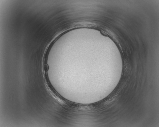 X0000073870843200609071657