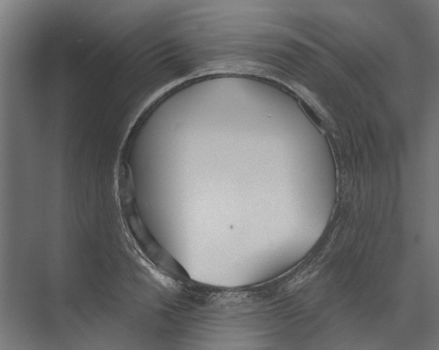 X0000073870846200609071657