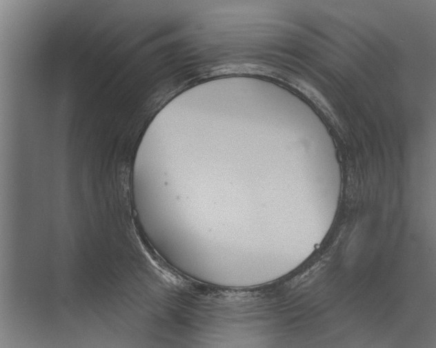 X0000073870849200609071657