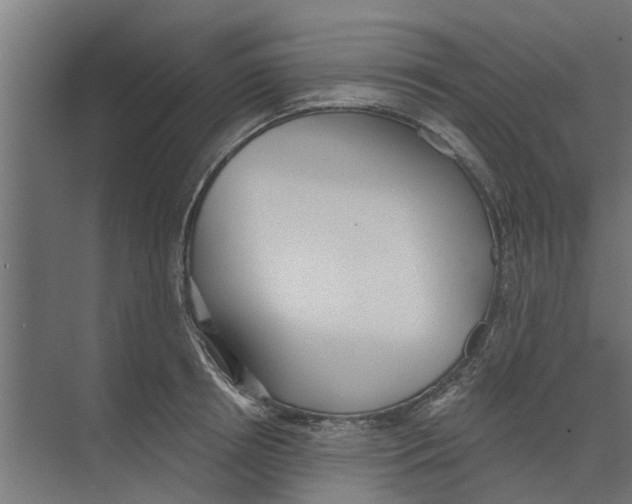 X0000073870850200609071657