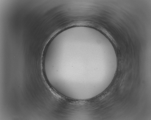 X0000073870853200609071657