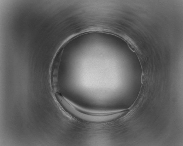 X0000073870854200609071657