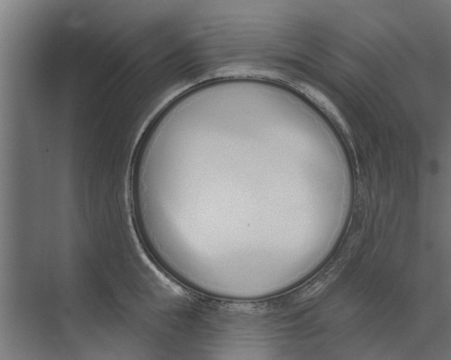 X0000073870855200609071657