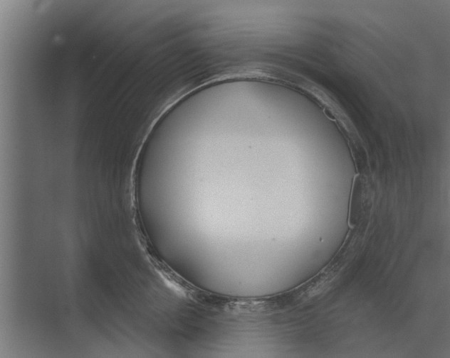 X0000073870858200609071657