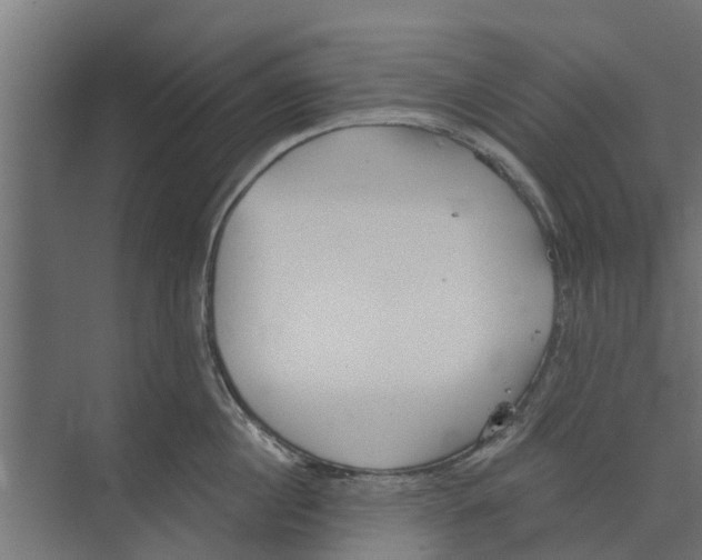 X0000073870860200609071657