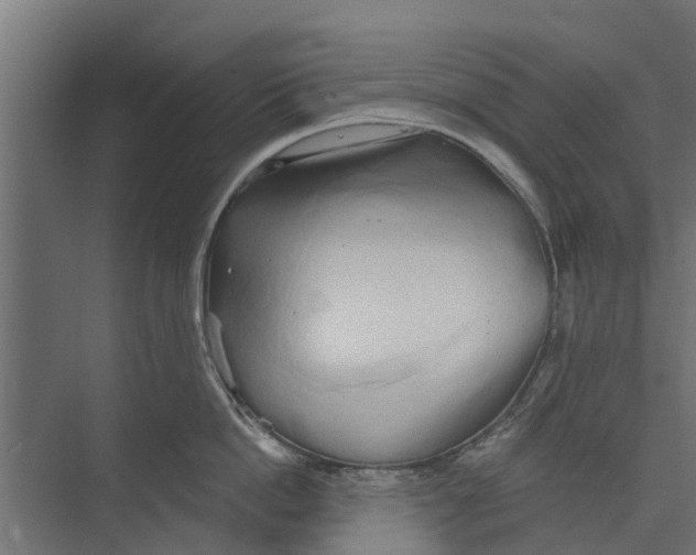 X0000073870862200609071657