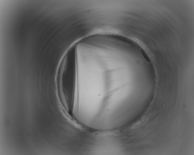 X0000073870864200609071657