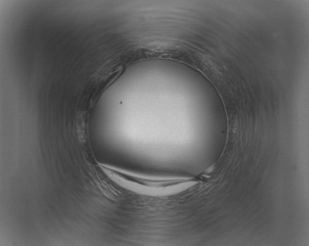 X0000073870868200609071656