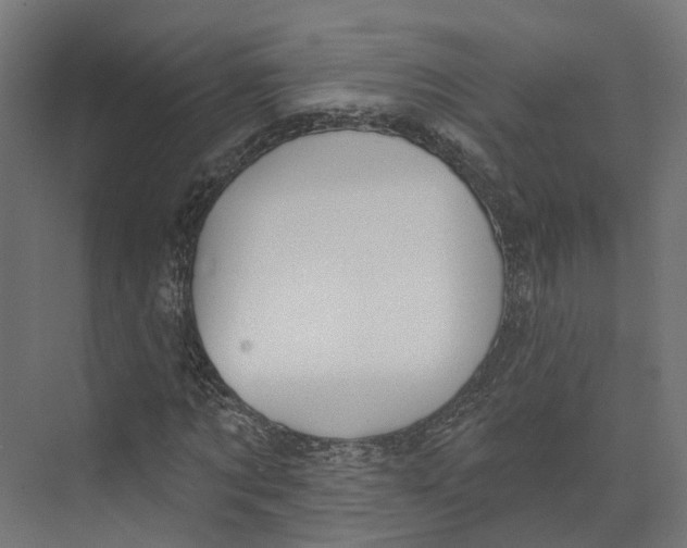 X0000073870869200609071656