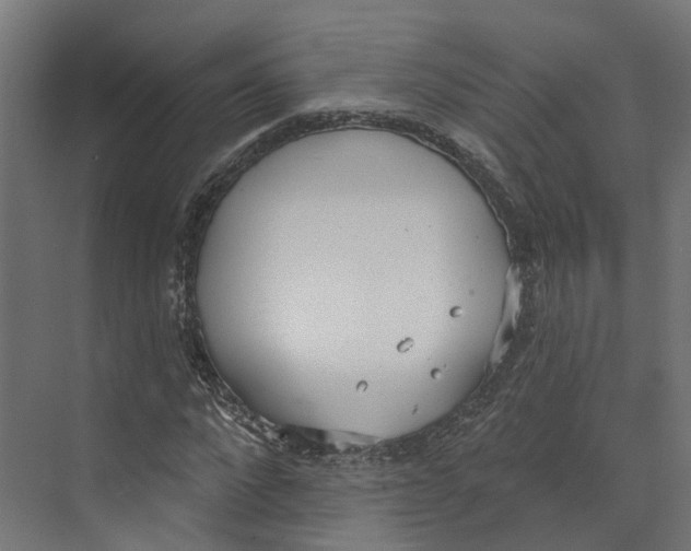 X0000073870872200609071656