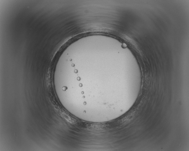 X0000073870875200609071656