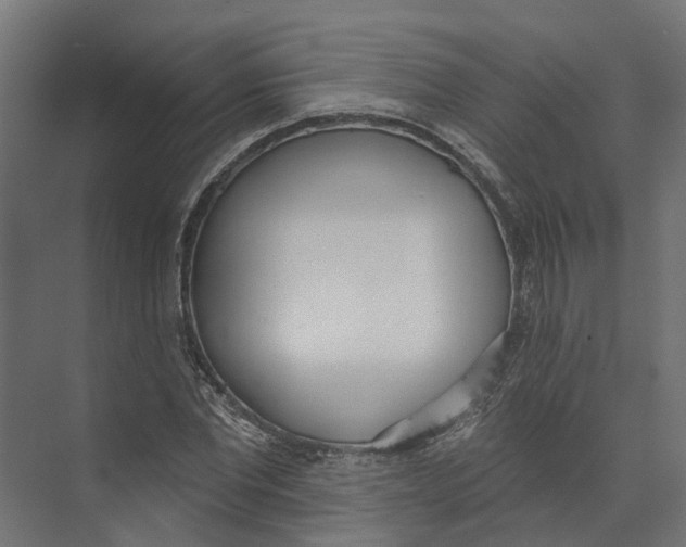 X0000073870877200609071656