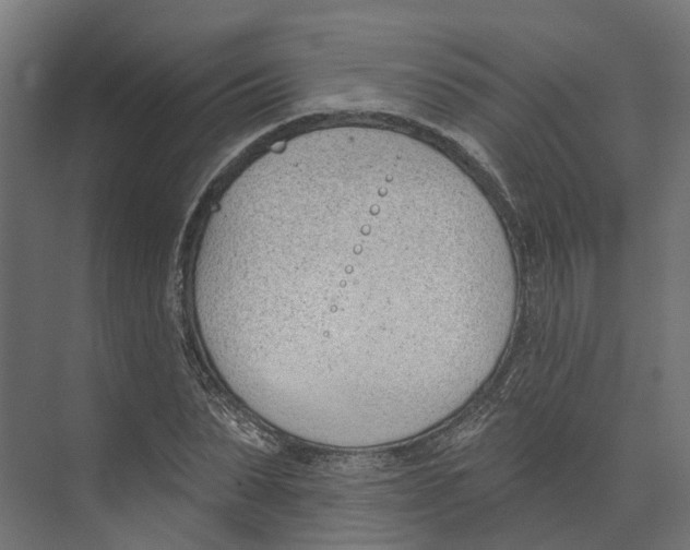 X0000073870879200609071656