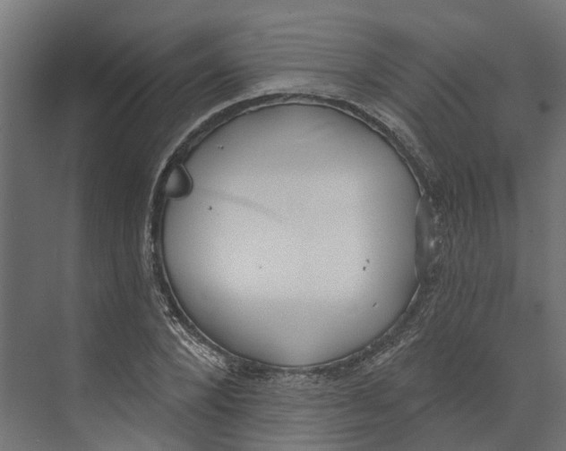 X0000073870880200609071656