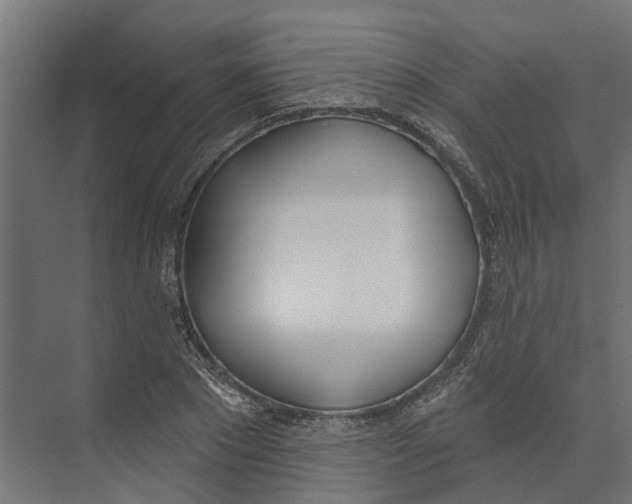 X0000073870881200609071656