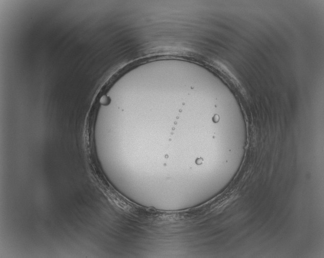 X0000073870883200609071656