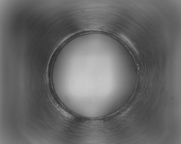 X0000073870884200609071656