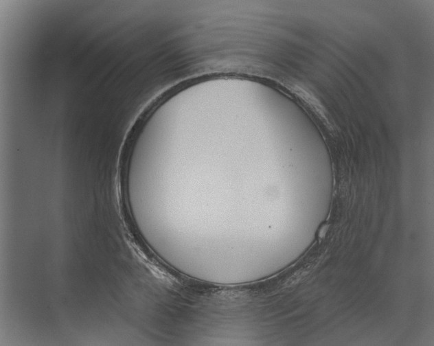 X0000073870888200609071656