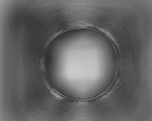 X0000073870889200609071656