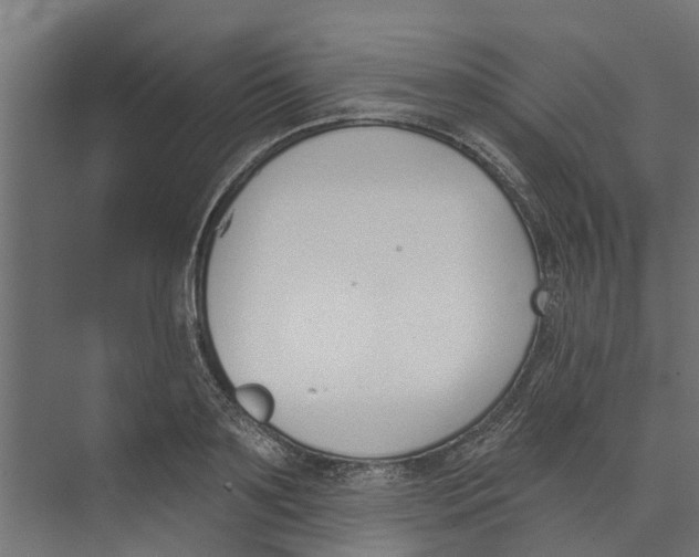 X0000073870891200609071656