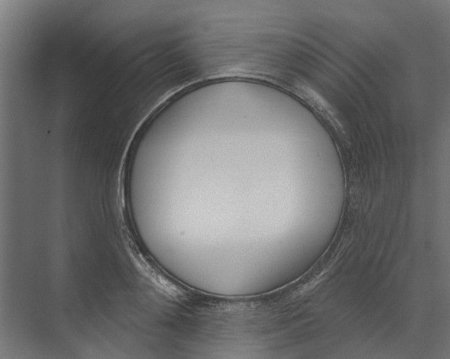 X0000073870892200609071656