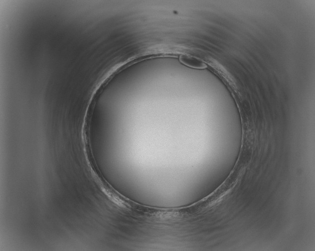 X0000073870893200609071656