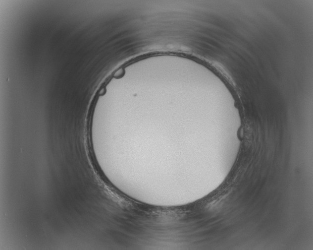 X0000073870895200609071656