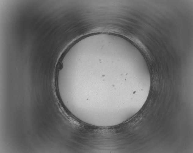 X0000073870896200609071656