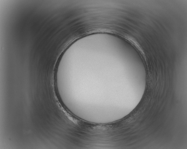 X0000073870898200609071656