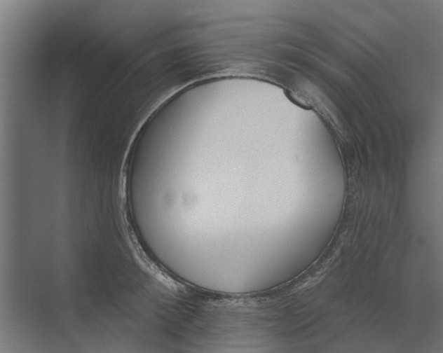 X0000073870900200609071656