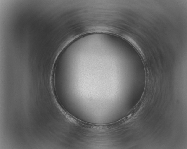 X0000073870901200609071656