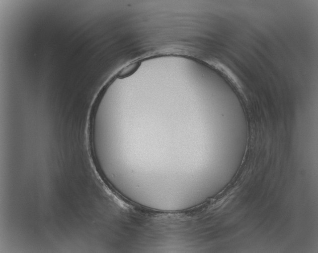 X0000073870902200609071656