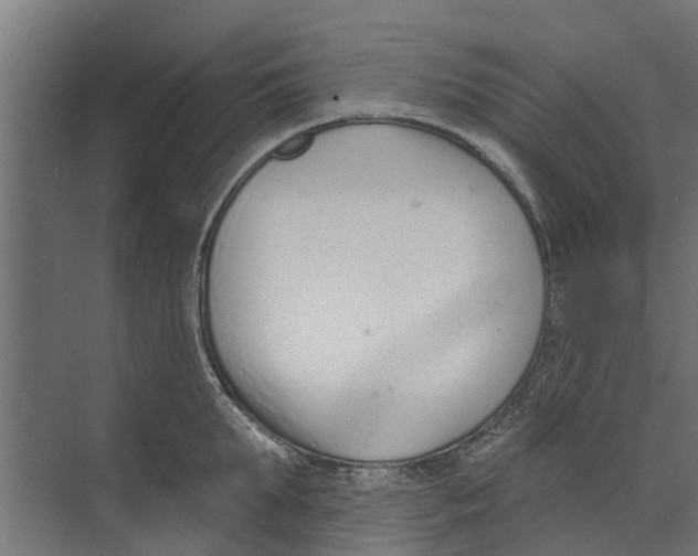 X0000073870903200609071656