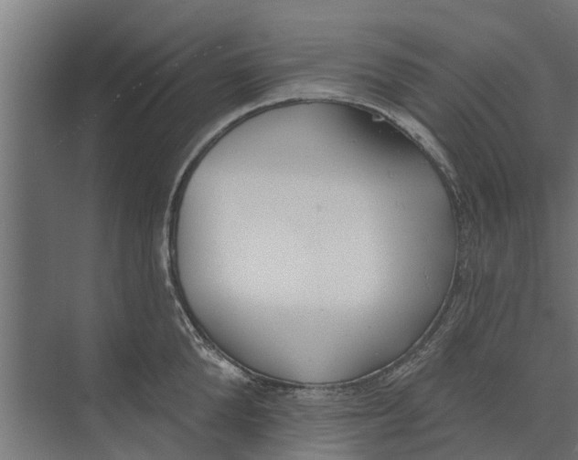 X0000073870904200609071656