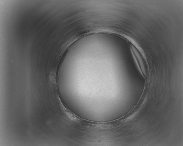 X0000073870905200609071656