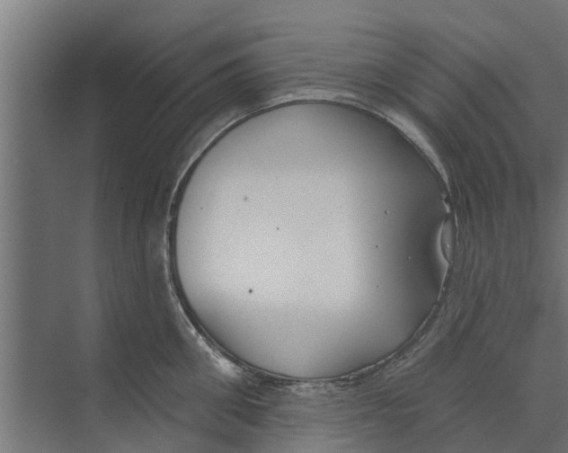 X0000073870906200609071656