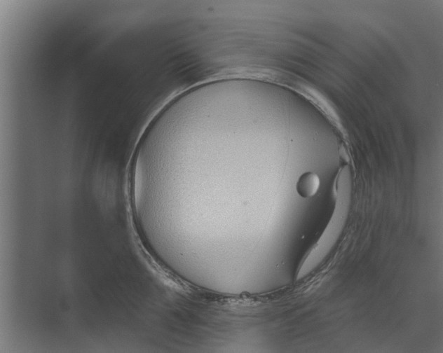 X0000073870907200609071656