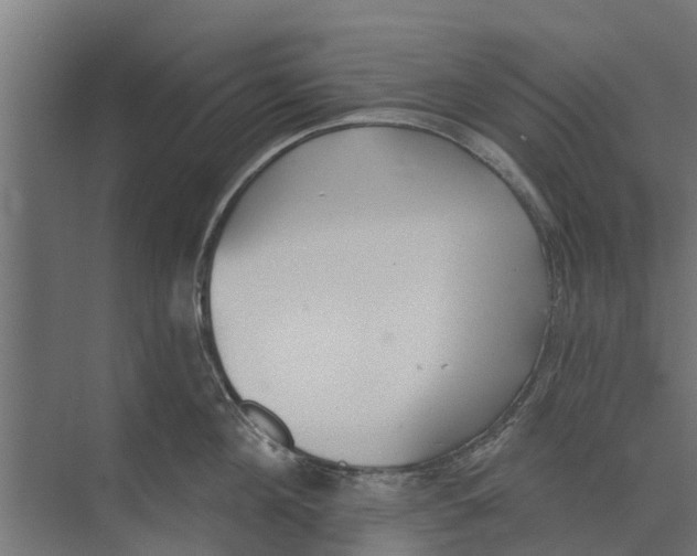 X0000073870908200609071656