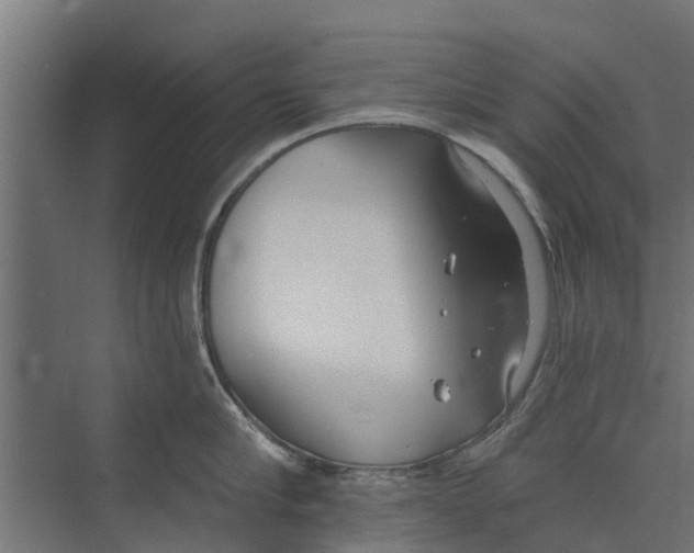 X0000073870910200609071656