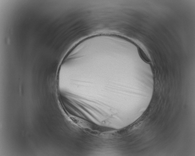 X0000073870911200609071656